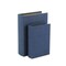 Contemporary Home Living Set of 2 Navy Blue and Gold Rectangular Book Storage Boxes 11"
